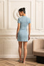Ariella | Mini Pleated Dress - Alea