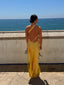 Caroline | Dos Nu Maxi Robe - Alea